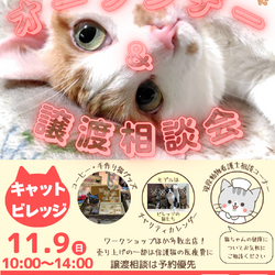 保護猫施設オープンデー ＆ 譲渡相談会