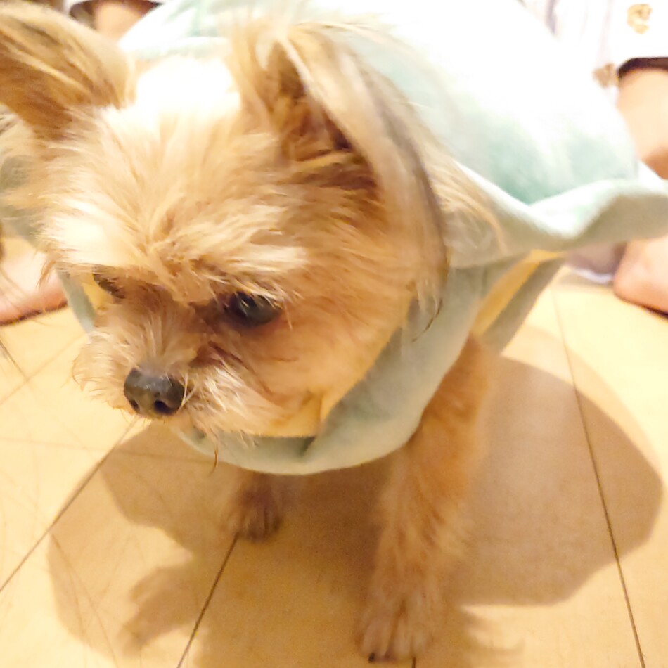 ららのカバー写真