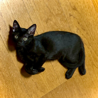 人懐っこいブンくん♡♡♡