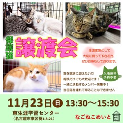 なごねこめいと