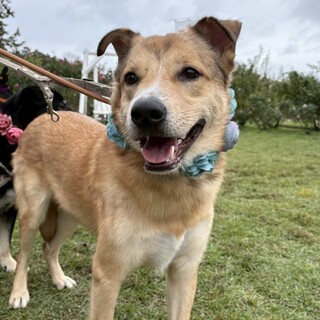 穏やかで甘えん坊な男の子⭐︎ レンリーくん