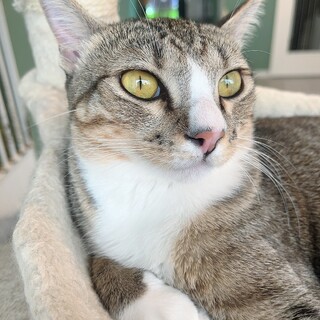 おやつ大好き！