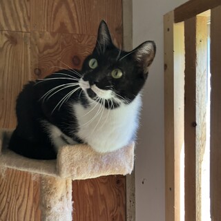 フレンドリーなカイくん