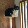 フレンドリーなカイくん サムネイル2