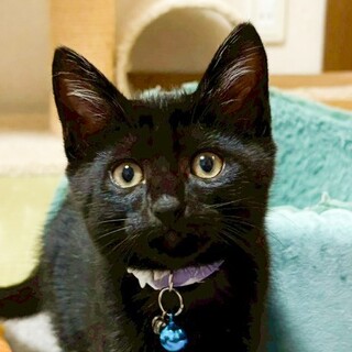 何事にも動じない頼れるタイプ⭐️亜蘭