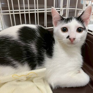 ちょっと困り顔が可愛らしい男の子