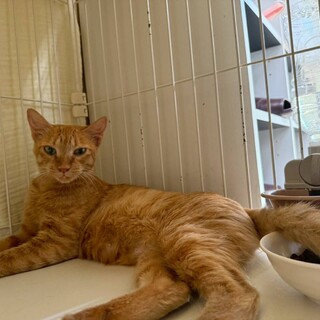 人が大好き、穏やかで可愛らしい男の子