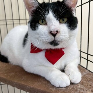 大きく穏やかで可愛らしい男の子