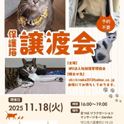 保護猫譲渡会