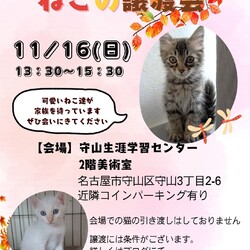 ねこの譲渡会 in守山生涯学習センター
