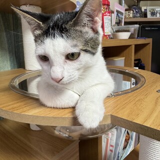いつも元気なPちゃん❣️