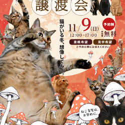 ふれあえる譲渡会in大阪市（見学だけでもOK！） サムネイル1