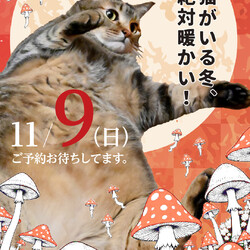 ふれあえる譲渡会in大阪市（見学だけでもOK！） サムネイル2