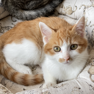 遊び好き★しお君★元気溌剌