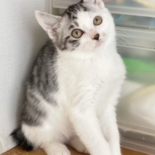 冒険王★なぎ君★活発