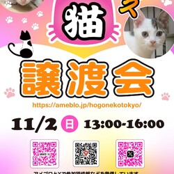 ほごねこ東京譲渡会＠尾久