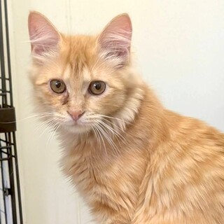 おっとり系の❤️美珀ちゃん