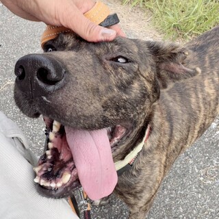 人が大好きな甘えん坊！