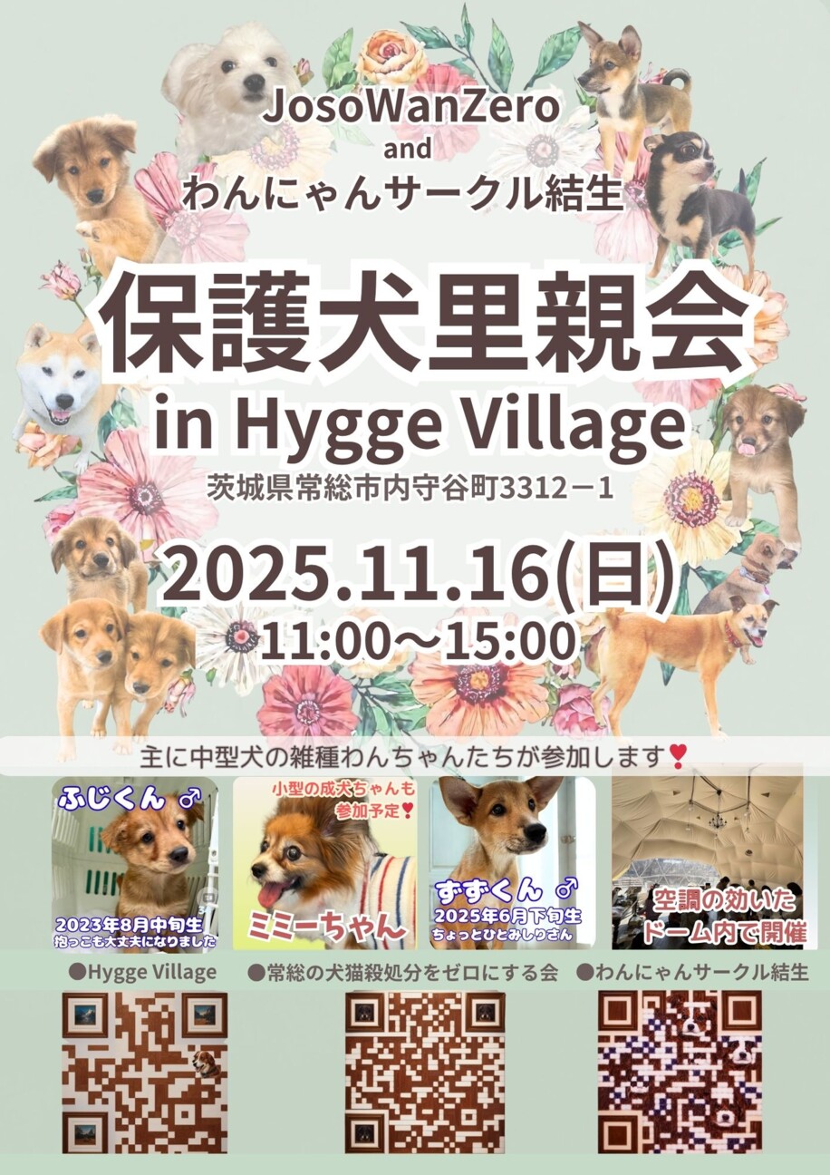 保護犬里親会（屋内なので」（わんにゃんサークル結生のイベント