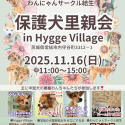 保護犬里親会（屋内なので雨でも開催）