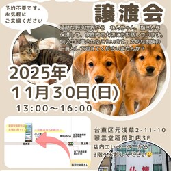 翠雲堂de譲渡会☆子犬子猫ちゃん大勢参加