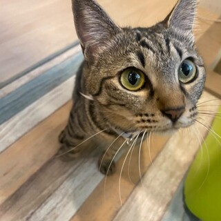 静か〜に甘える控え目ぼんチャン♀