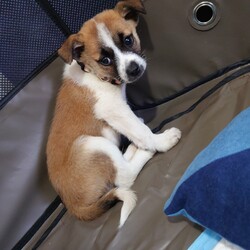 山口県から大阪府へ