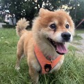 ちょっと不思議な、おもしろかわいい男の子