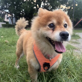 ちょっと不思議な、おもしろかわいい男の子