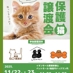 ぺテモフェス2025 保護猫譲渡会