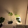 さとまりょうさん