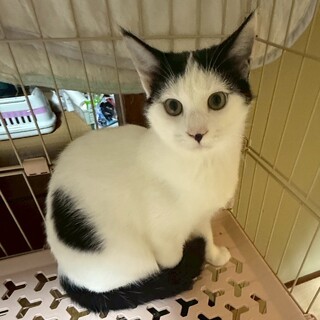 抱っこ大好き♡もなかくん