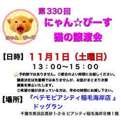 にゃん☆ぴーす猫の譲渡会【稲毛海岸/ペテモピアシティ稲毛海岸店』