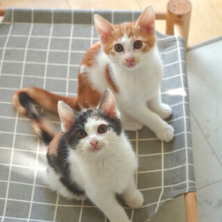 新たなご家族ができました♪