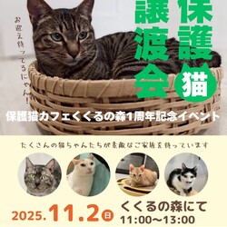 譲渡会を開催します！