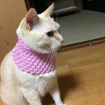熊から頸動脈を守るんだ。これじゃだめかなぁ？倖ちゃん、気を付けて！