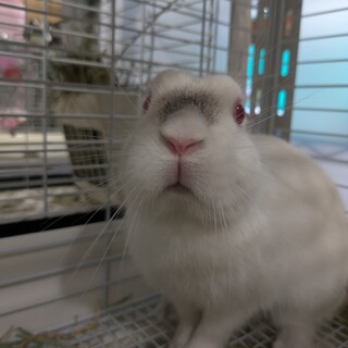 No.684 美濃加茂セブ7ちゃん