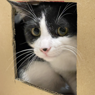 性格良し★とうま君★いい兄貴