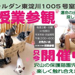 ■お見合い会(予約制)＆ふれあい授業参観■新大阪■