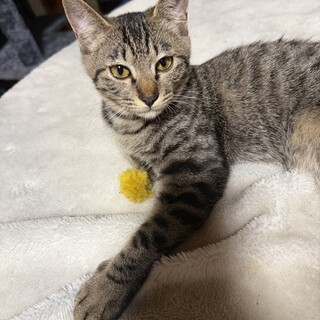 とっても甘えん坊なジジちゃん