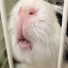 の写真