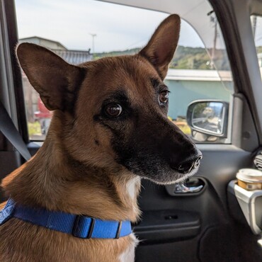 外は寒いですねー