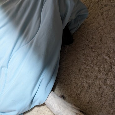 ホットカーペットにお布団最高！