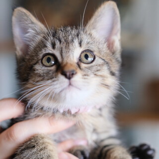 たびーな♡家族ができました