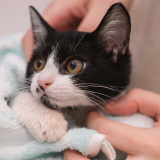 くりすけ♡家族ができました