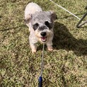 人が好きで甘えん坊なスカイ君