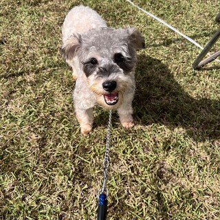 人が好きで甘えん坊なスカイ君