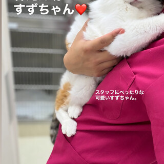 おっとりガールすずちゃん！