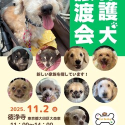 forわんDog譲渡会at徳浄寺