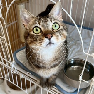 大きな体がチャームポイント★ゆずくん